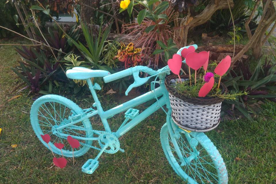 Bicicletinha do jardim