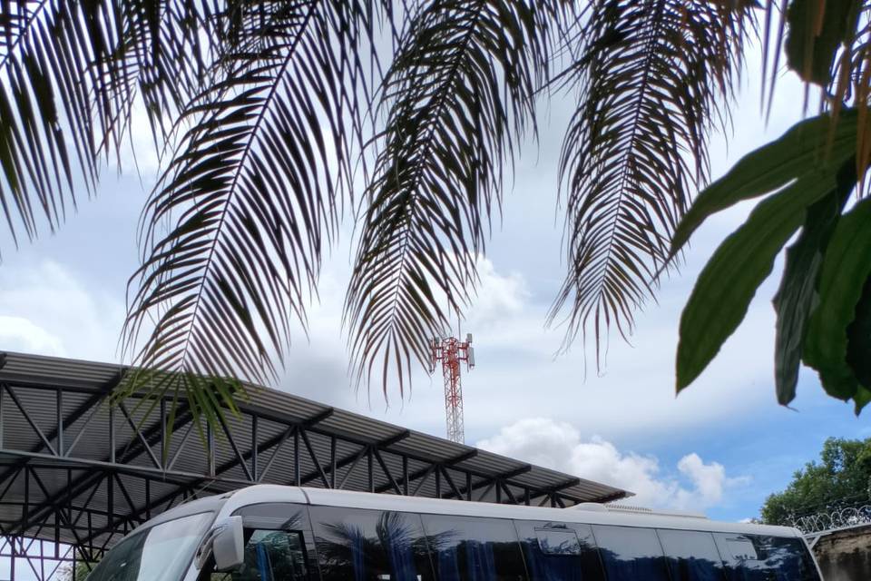 Micro-ônibus Luxo, 35 lugares