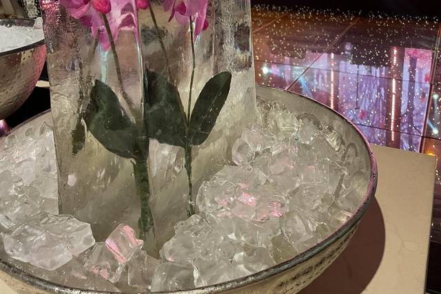 Orquídea no gelo