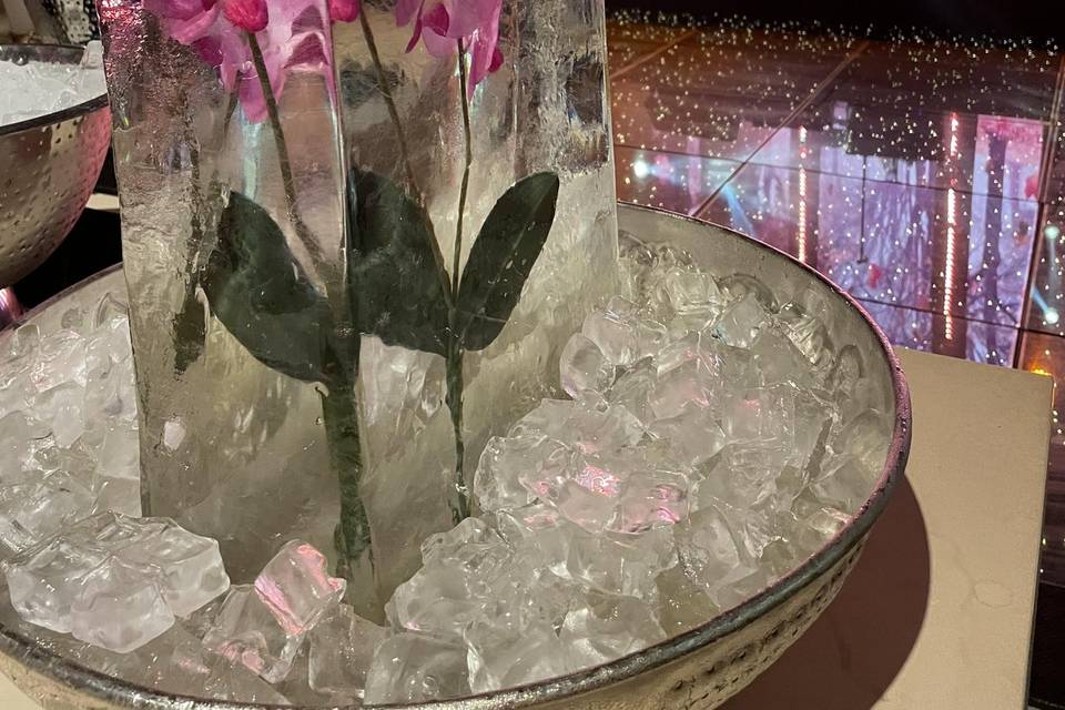 Orquídea no gelo