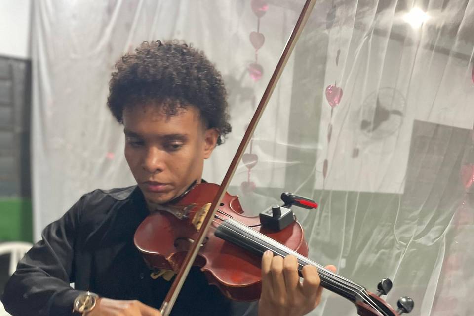 Músico violinista