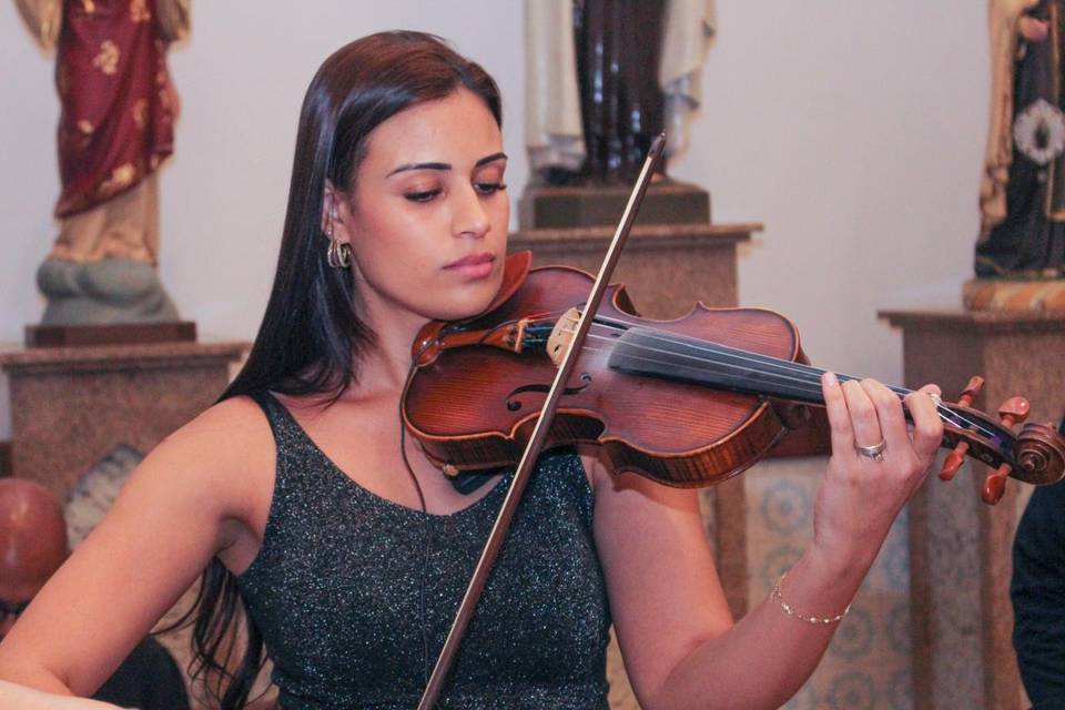 Violino