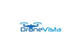 Drone Vista Logo