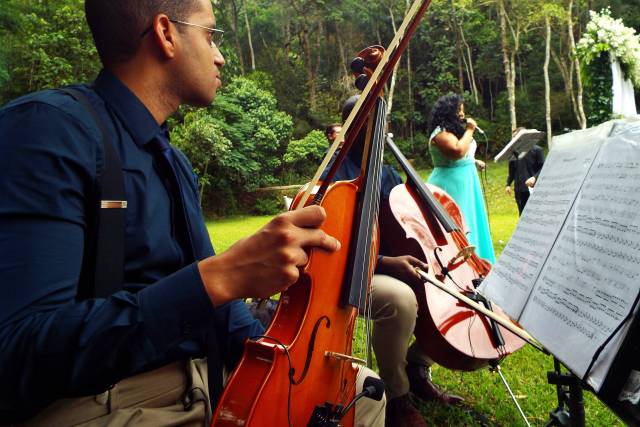 Harmonia 4