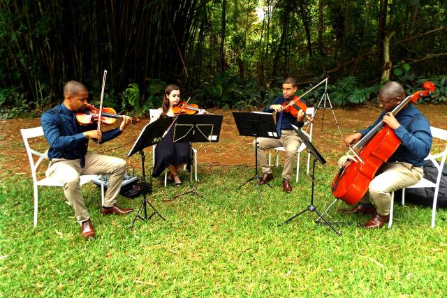 Casamento no Bosque
