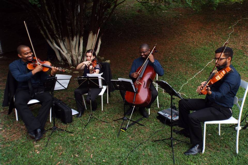 Casamento Bosque