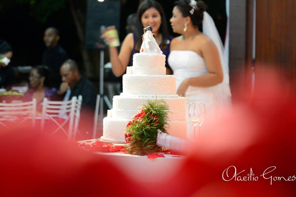 Casamento Ana Paula