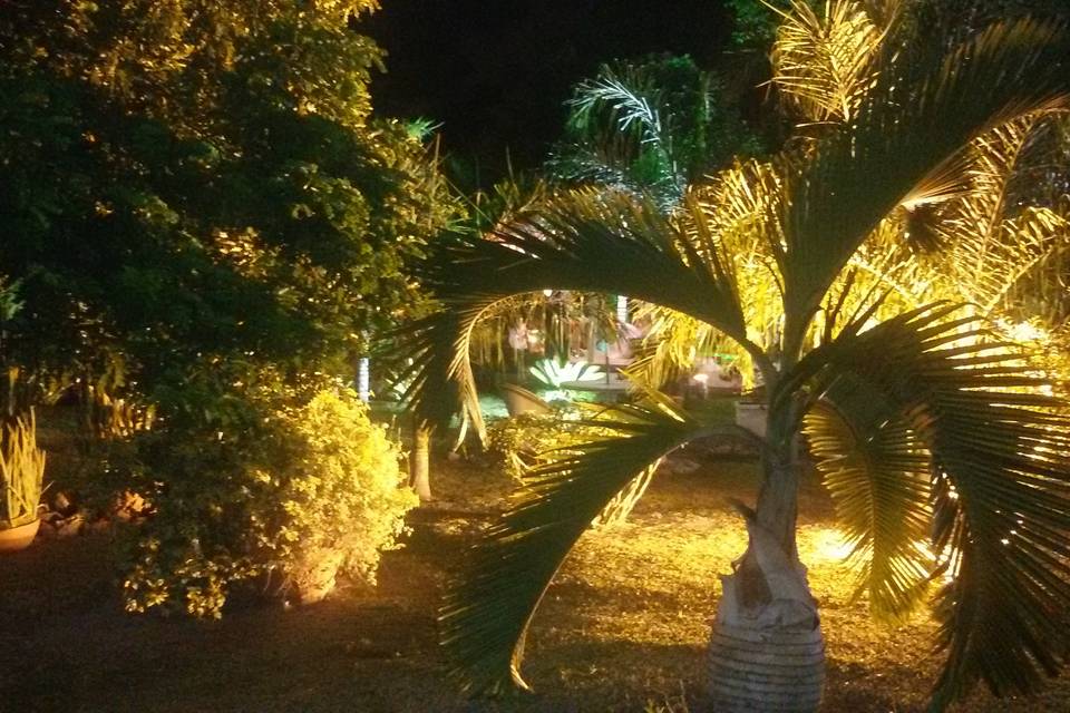 Jardim iluminado