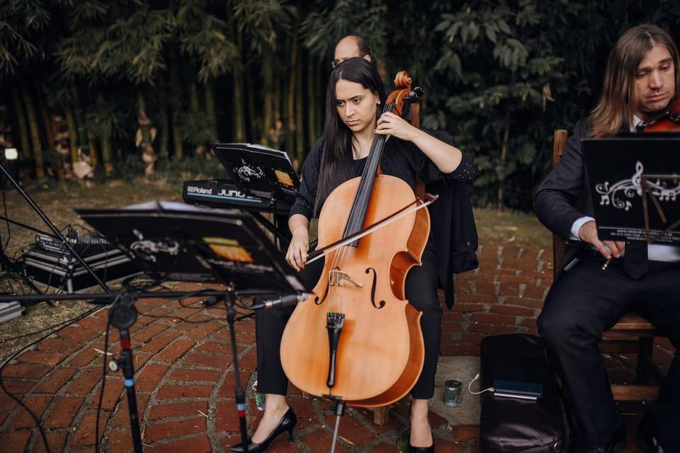 Cello