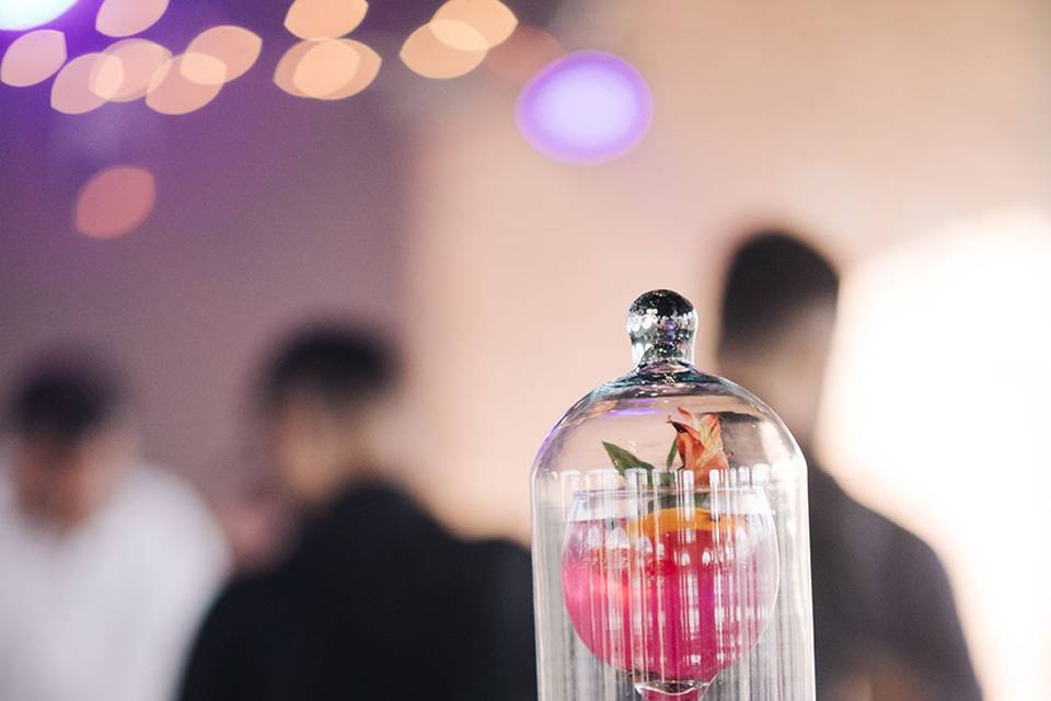 Gin Pitaya