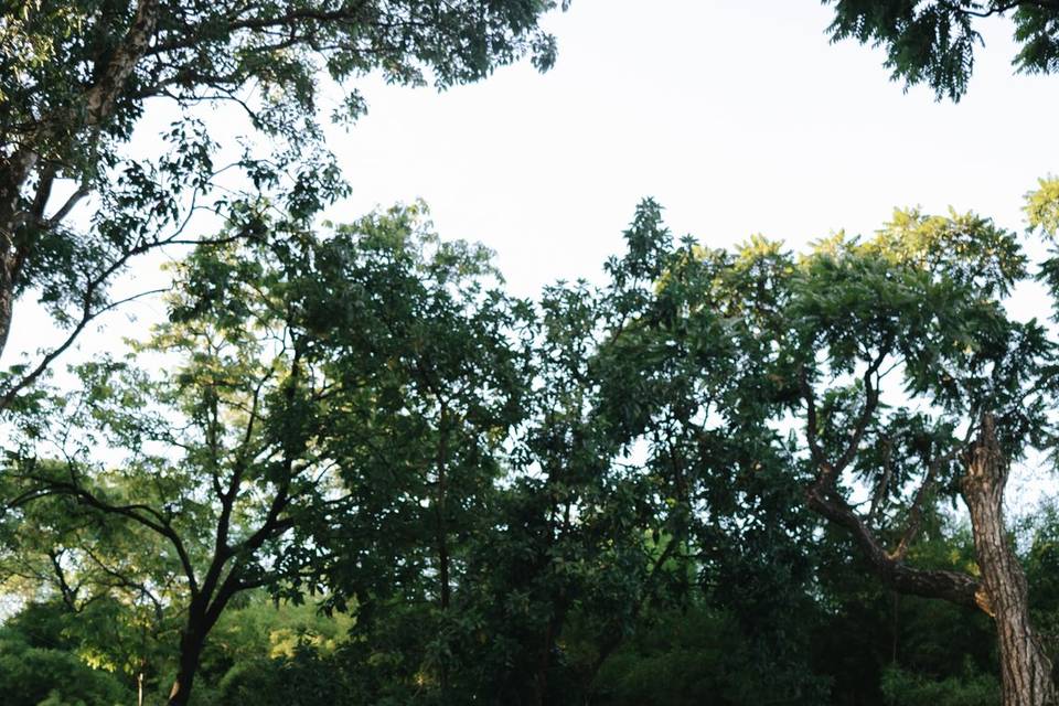 Fotos após cerimônia