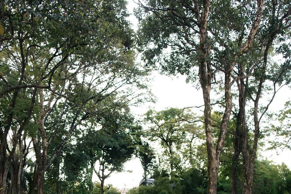 Fotos após cerimônia