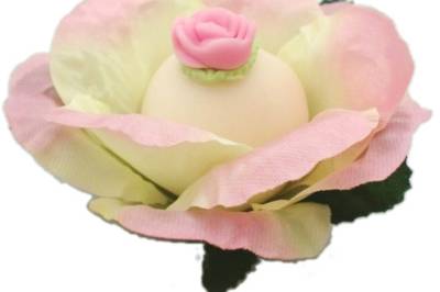 Begonia 7140-BG