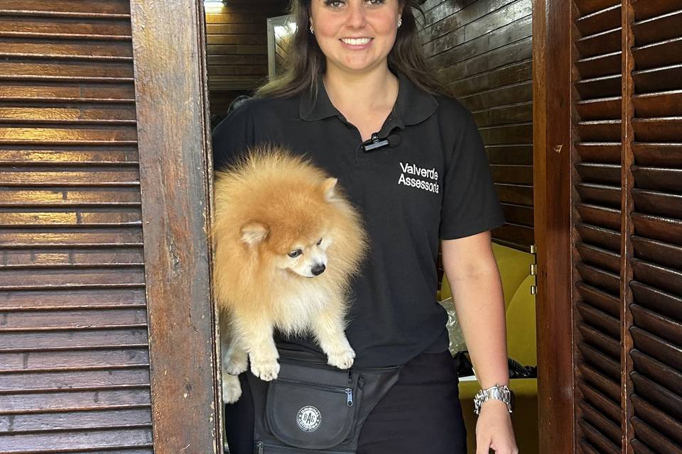 Cuidado com os pets