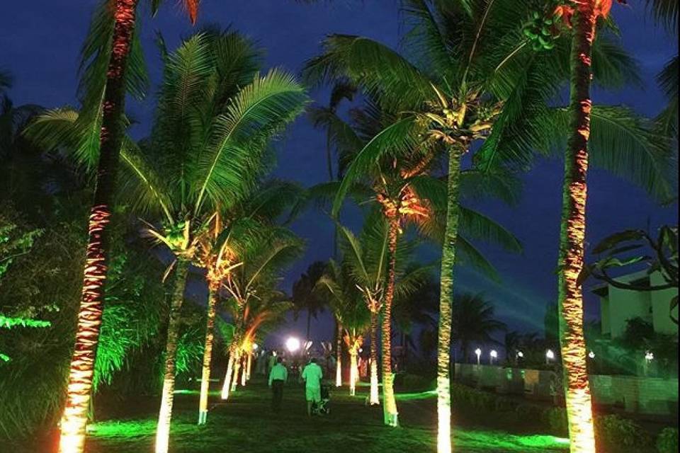 Tropicália Eventos e Cerimonial