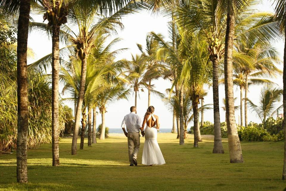 Área verde na praia