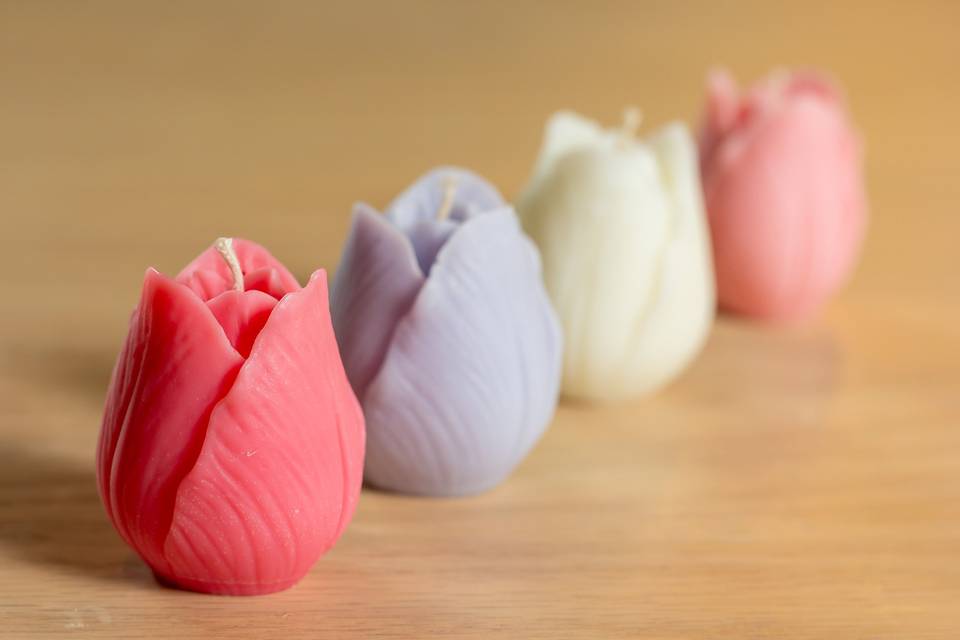 Vela tulipa