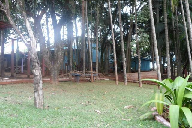 Bosque