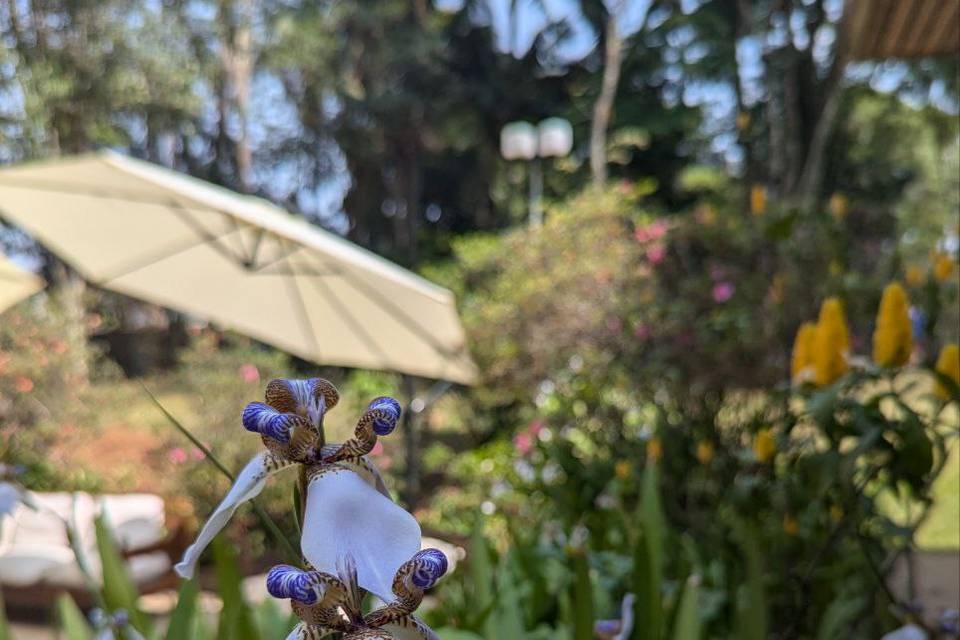 Varanda anexa ao salão/jardim
