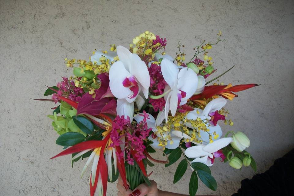 Juliana Lara Bouquet