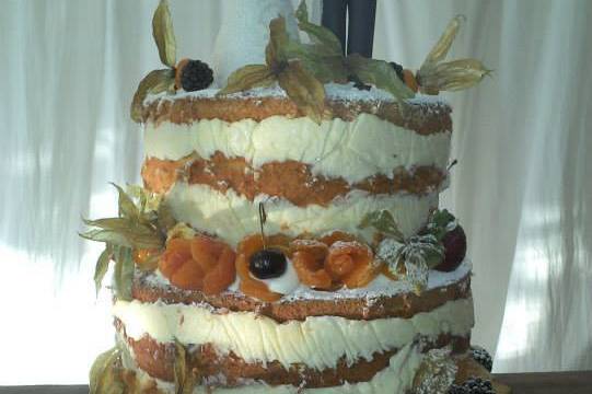 Naked Cake