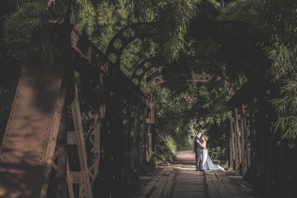 Trash The Dress