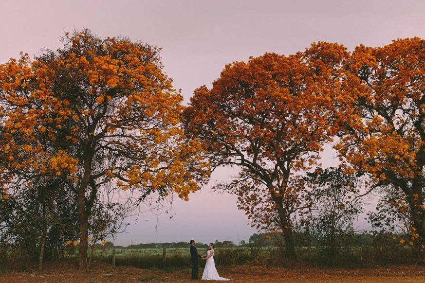 Casamento