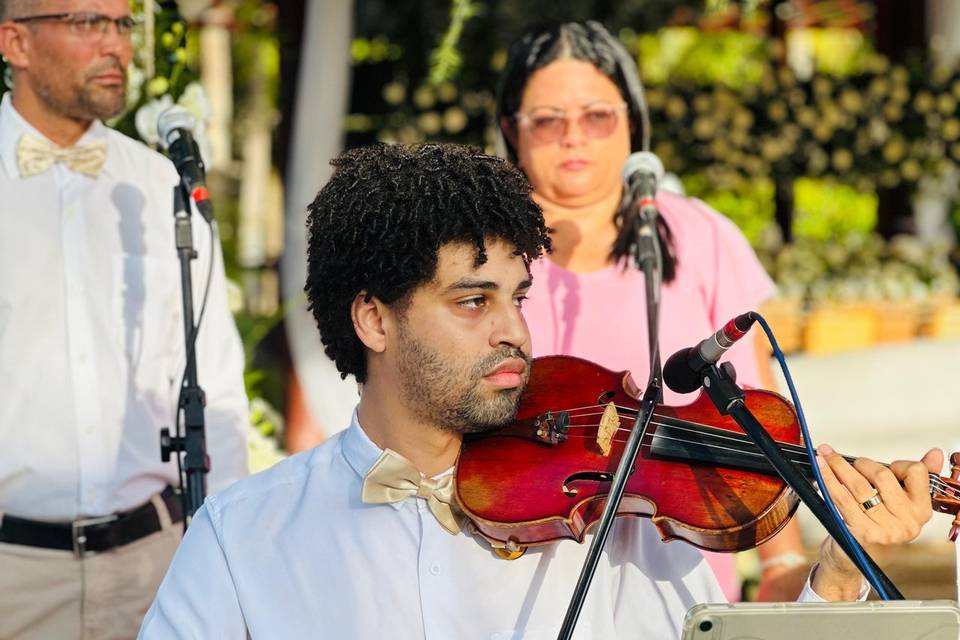 Violinista