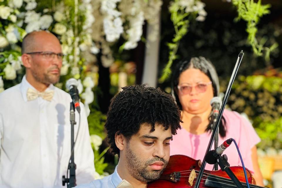 Violinista