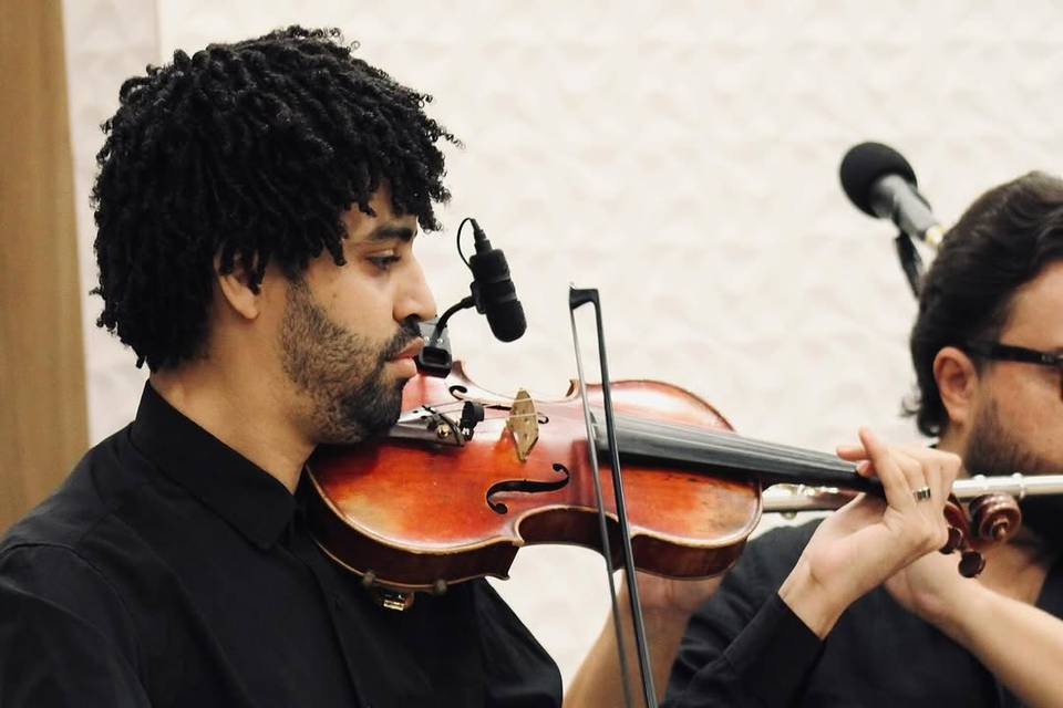 Violinista