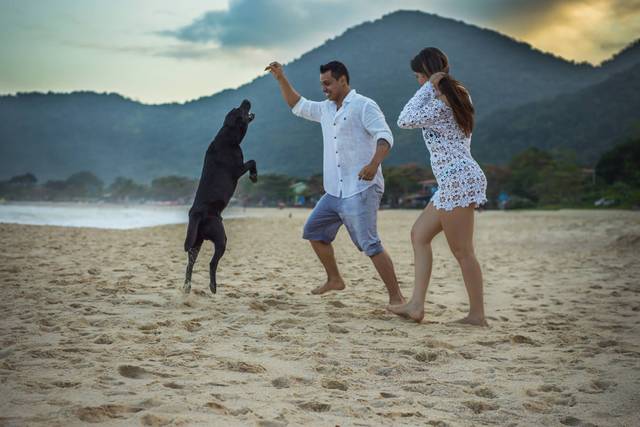 Alegria