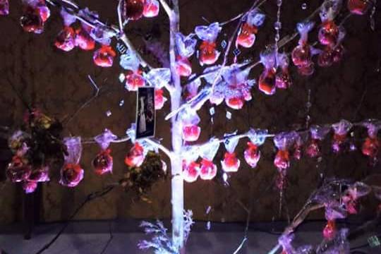 Decorando com maçã do Amor