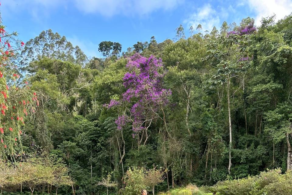 Ensaio fotográfico