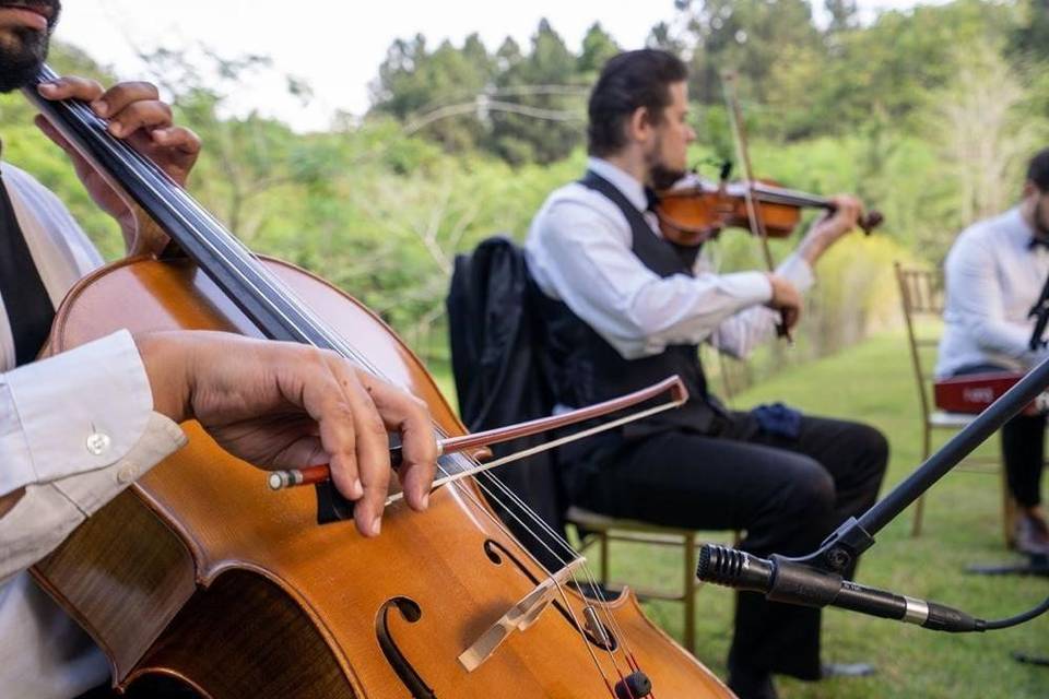 Trio - Violino, Cello & Piano