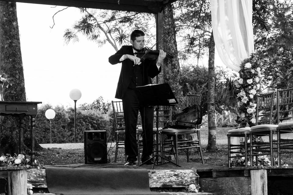 Violino solo ao ar livre