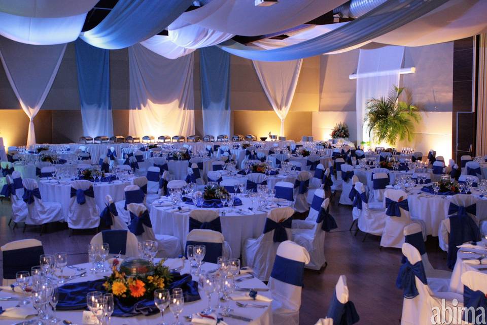 Apricot Eventos