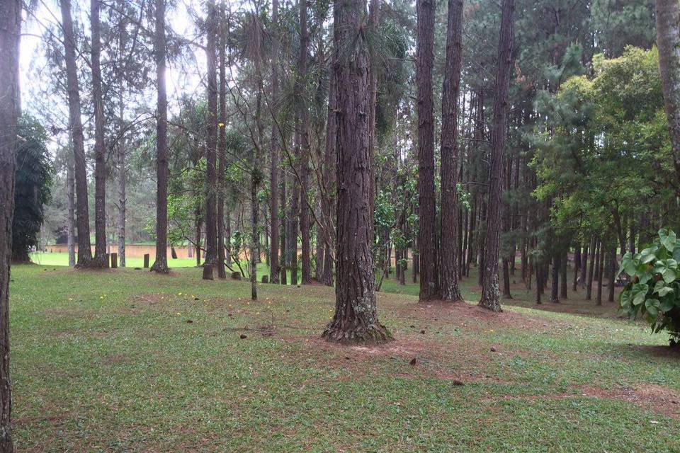 Espaço Verde Arujá