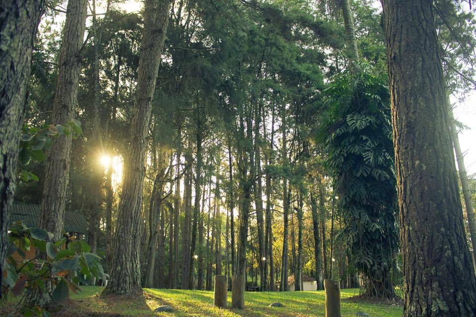 Espaço Verde Arujá