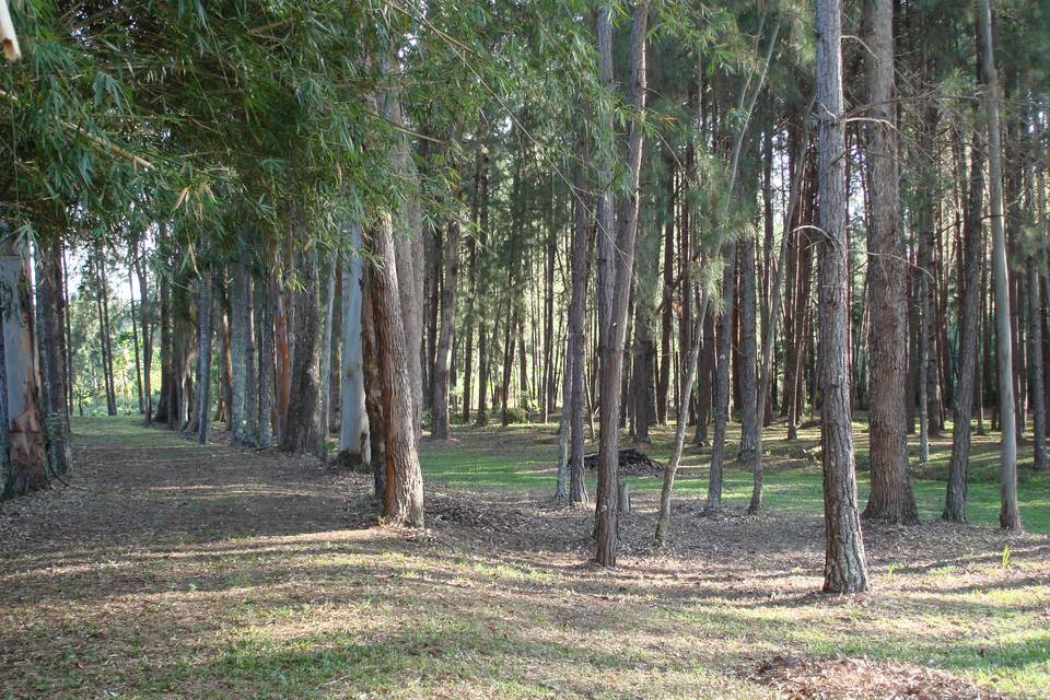 Espaço Verde Arujá