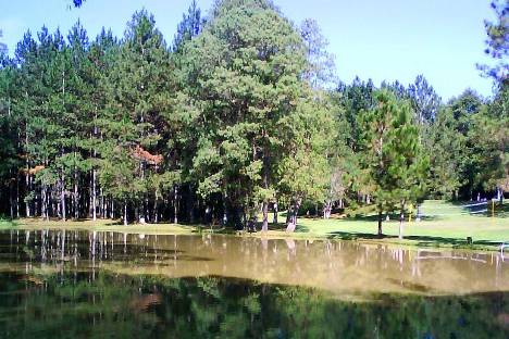 Área verde e lago