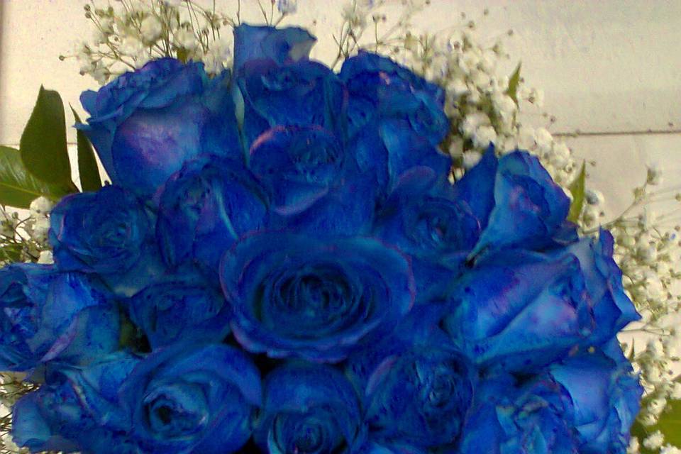 Rosas azul e gipson