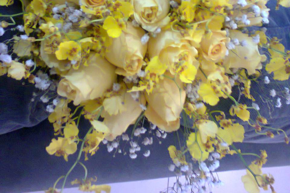 Rosas amarelas e chuva de ouro