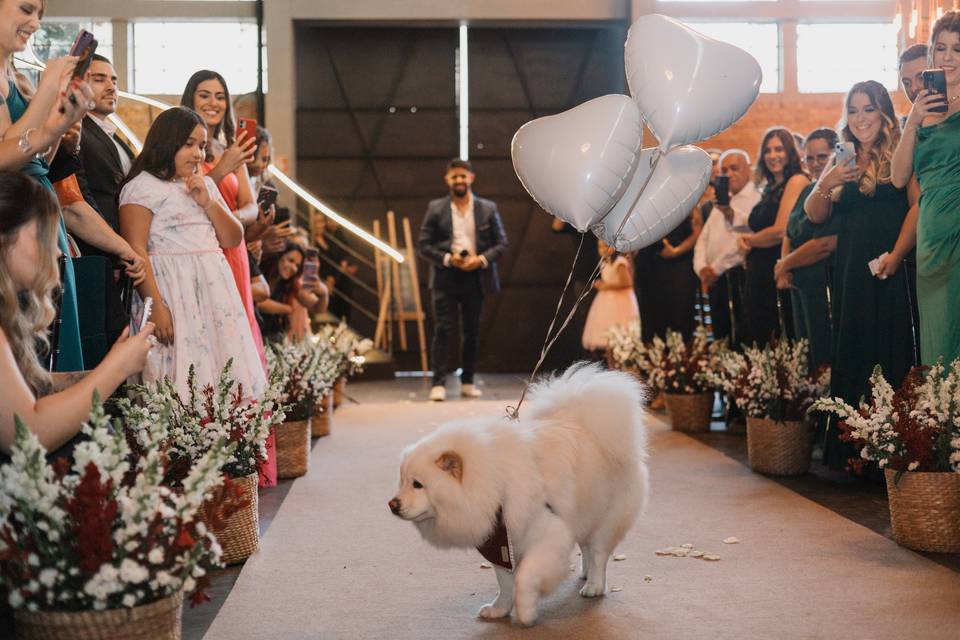 Foto e vídeo para casamento