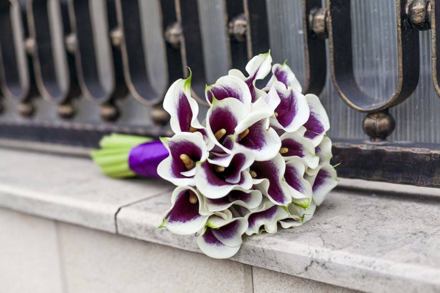 Bouquet de Calla