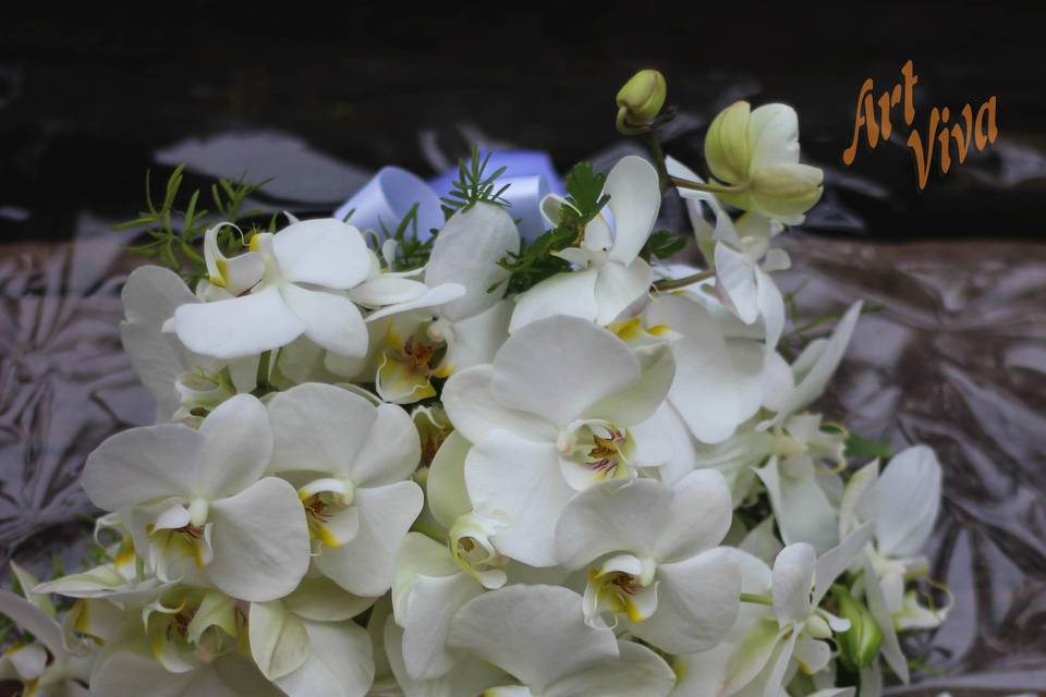 Bouquet de Orquidea Branca