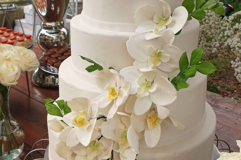 Orquídea de Açúcar