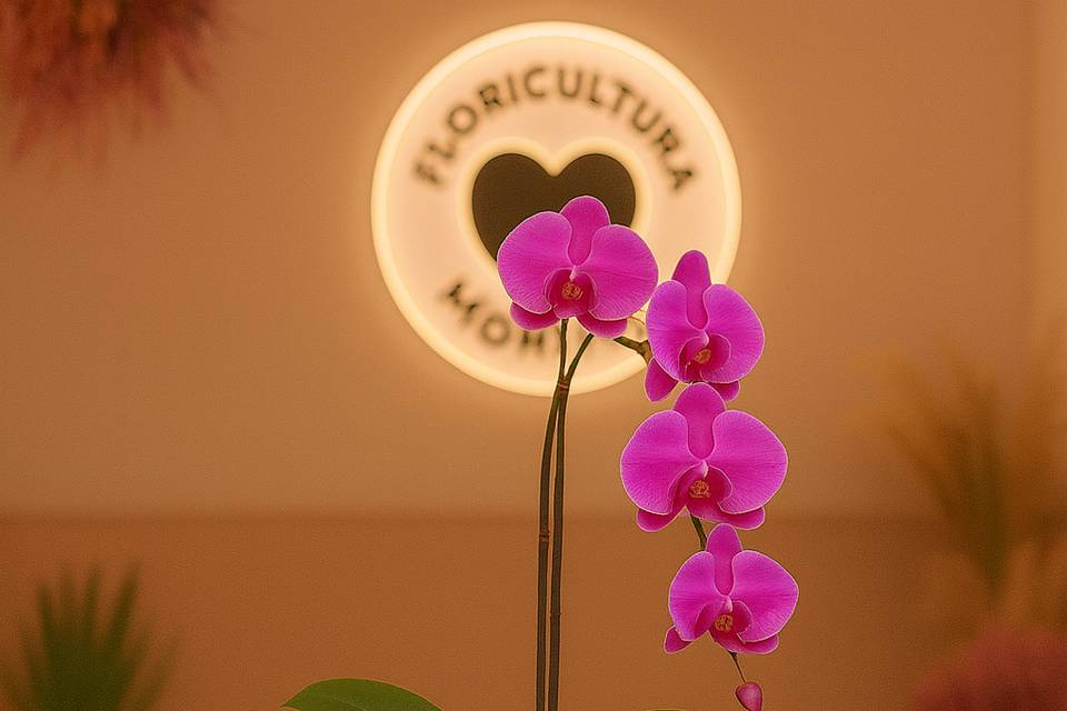 Orquídea no vaso aquário