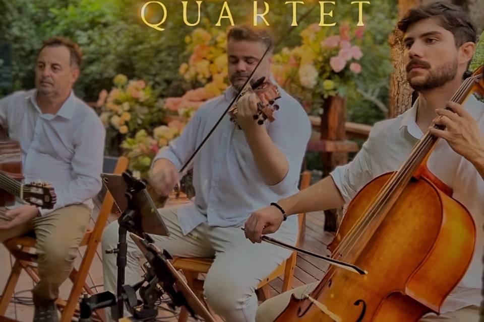 Violino, Violoncelo e Violao
