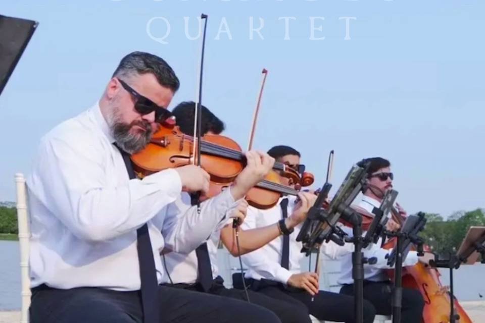 Quarteto de Cordas