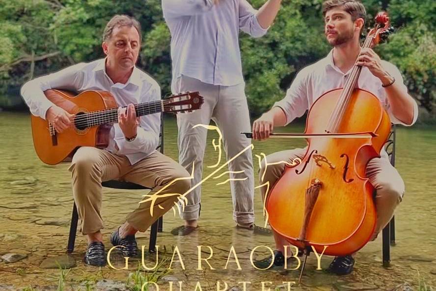 Violino Violoncelo e Violao